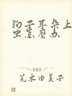 狗子耳朵上有蜱虫怎么办