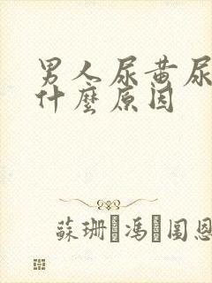 男人尿黄尿臭是什么原因