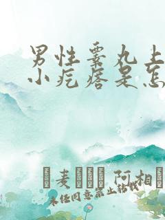 男性睾丸上面长小疙瘩是怎么回事