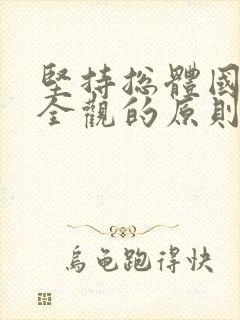 坚持总体国家安全观的原则是什么?