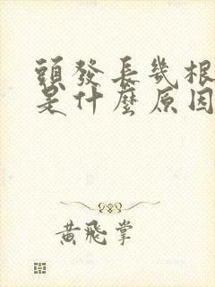 头发长几根白发是什么原因