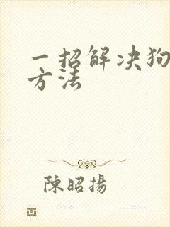 一招解决狗掉毛方法