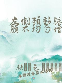 左侧颈动脉内中膜不均匀增厚伴斑块