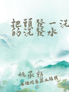 把头发一洗就黑的洗发水