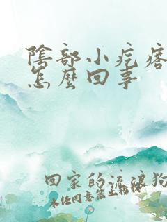 阴部小疙瘩流脓怎么回事