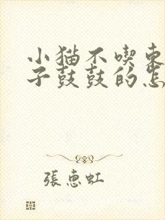 小猫不吃东西肚子鼓鼓的怎么回事