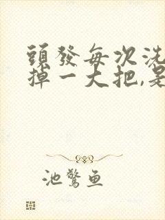 头发每次洗头发掉一大把,是什么原因