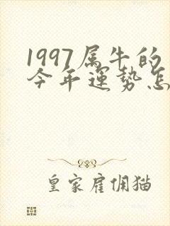 1997属牛的今年运势怎么样