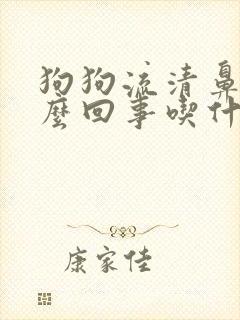 狗狗流清鼻涕怎么回事吃什么药