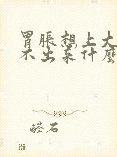 胃胀想上大便上不出来什么原因