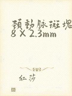 颈动脉斑块7.8×2.3mm