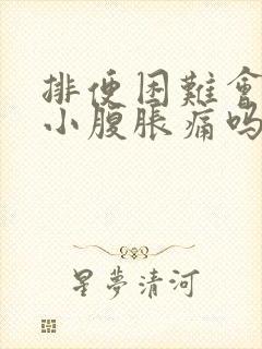 排便困难会导致小腹胀痛吗