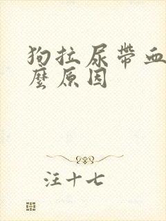 狗拉尿带血是什么原因