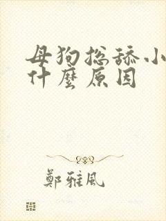 母狗总舔小便处什么原因