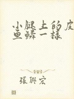 小腿上的皮肤像鱼鳞一样