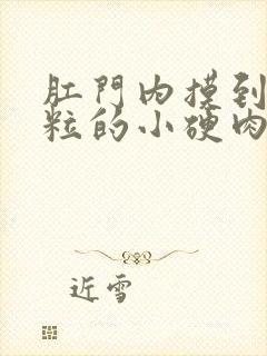 肛门内摸到像米粒的小硬肉