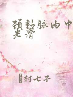 颈动脉内中膜欠光滑