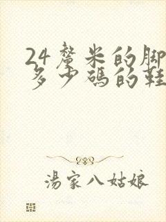 24厘米的脚穿多少码的鞋子