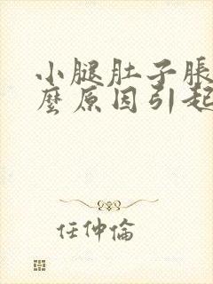 小腿肚子胀痛什么原因引起的