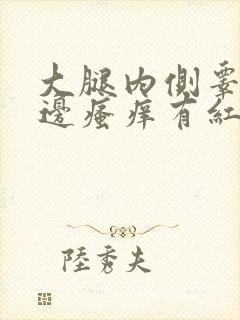 大腿内侧睾丸旁边瘙痒有红疙瘩用药