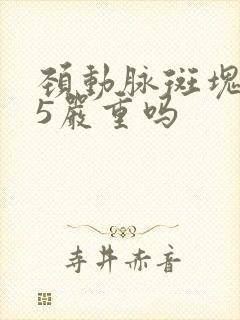 颈动脉斑块0.5严重吗