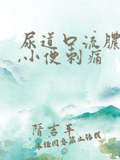 尿道口流脓流血,小便刺痛