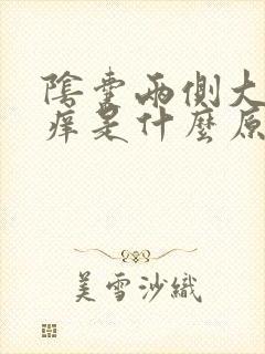 阴囊两侧大腿瘙痒是什么原因