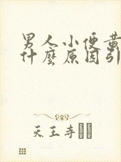 男人小便黄色是什么原因引起的