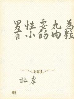 男性睾丸为什么有小的肉粒