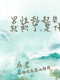 男性勃起几分钟就软了,是什么原因