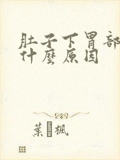 肚子下胃部疼痛什么原因