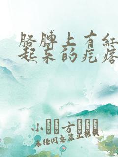 胳膊上有红色凸起来的疙瘩