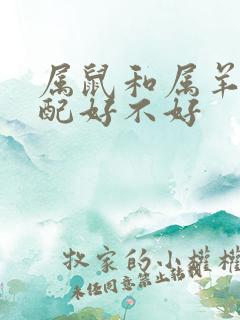 属鼠和属羊的婚配好不好