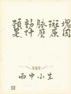 颈动脉斑块形成是什么原因