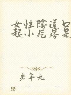 女性阴道口外面起小疙瘩是怎么回事