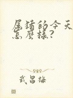 属猪的今天运气怎么样?