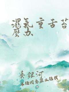 湿气重舌苔白怎么办