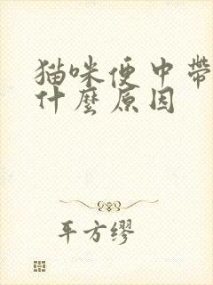 猫咪便中带血是什么原因