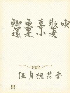 鲫鱼喜欢吃玉米还是小麦