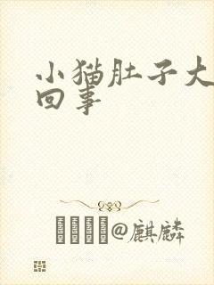 小猫肚子大怎么回事