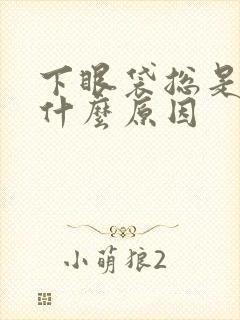 下眼袋总是跳是什么原因