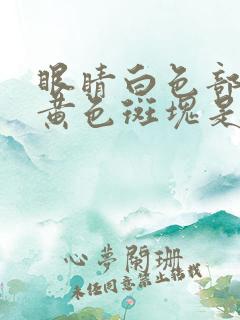 眼睛白色部分有黄色斑块是怎么了