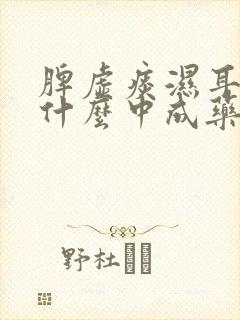 脾虚痰湿耳鸣吃什么中成药