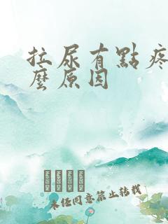 拉尿有点疼是什么原因