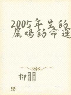 2005年生的属鸡的命运怎么样