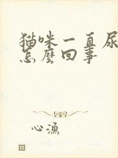 猫咪一直尿床上怎么回事