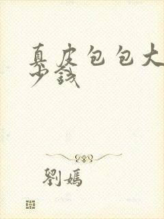 真皮包包大概多少钱