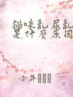 猫咪乱尿乱拉屎是什么原因