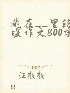 藏在__里的温暖作文800字