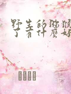 野生的猕猴桃吃了有什么好处